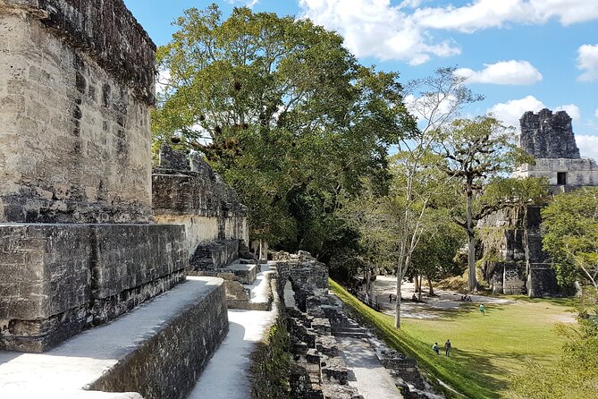 Tikal From Flores or Mundo Maya Airport With Transportation, Local Guide and Lunch - Itinerary