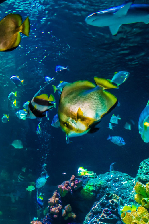 Timmendorfer Strand: SEA LIFE Behind the Scenes Tour - Booking and Cancellation Policy