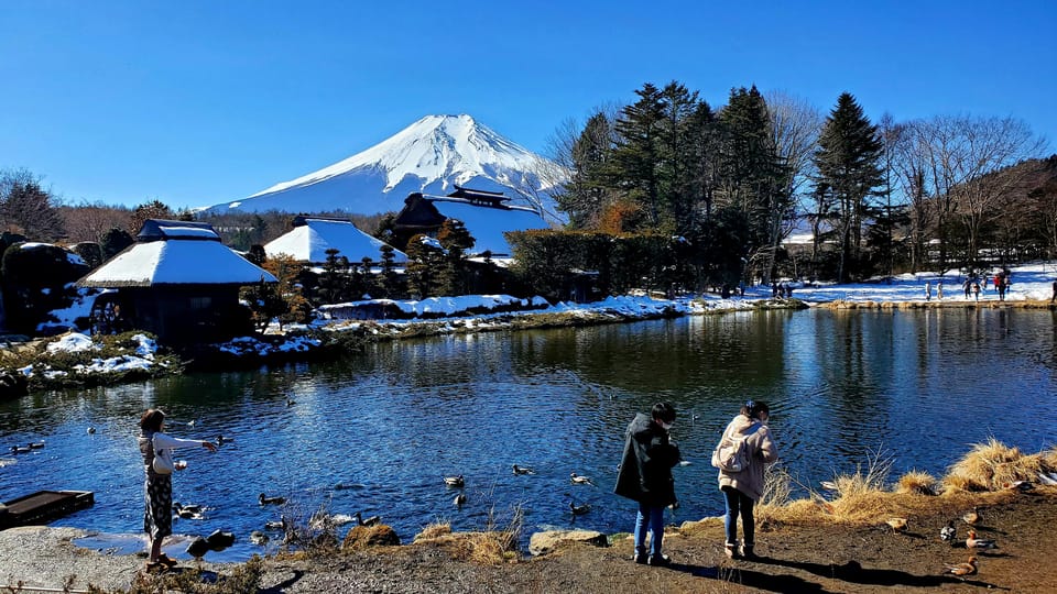 Tokyo and Mt. Fuji + Hakone 2-Days Private Tour - Day 1 Itinerary