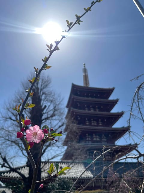 Tokyo: Asakusa Senso-ji Temple Private Walking Tour - Experience and Attractions