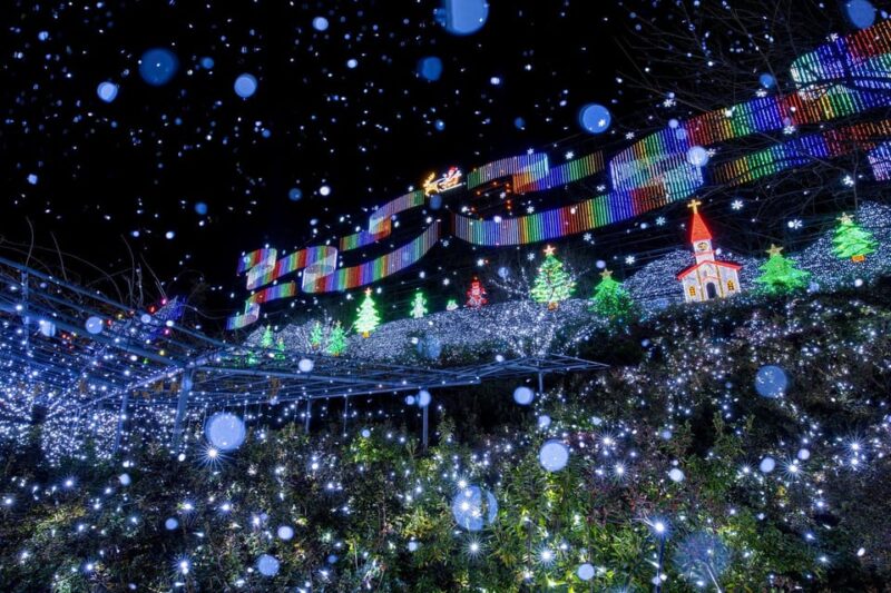 Tokyo: Ashikaga Flower Park With Entry Ticket - Itinerary for a Day Trip