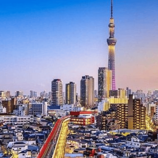 Tokyo City Customizable Private Tour By Car Pick Up 23 Ward - Customization Options