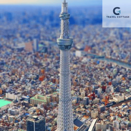 Tokyo Customize Private City Tour By English Speaking Driver - Major Attractions