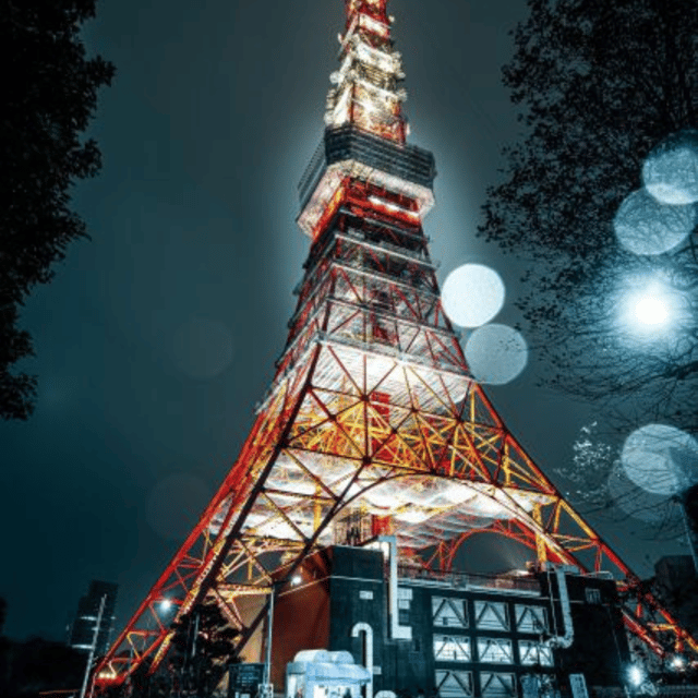 Tokyo Customize Private City Tour By English Speaking Driver - Itinerary Highlights