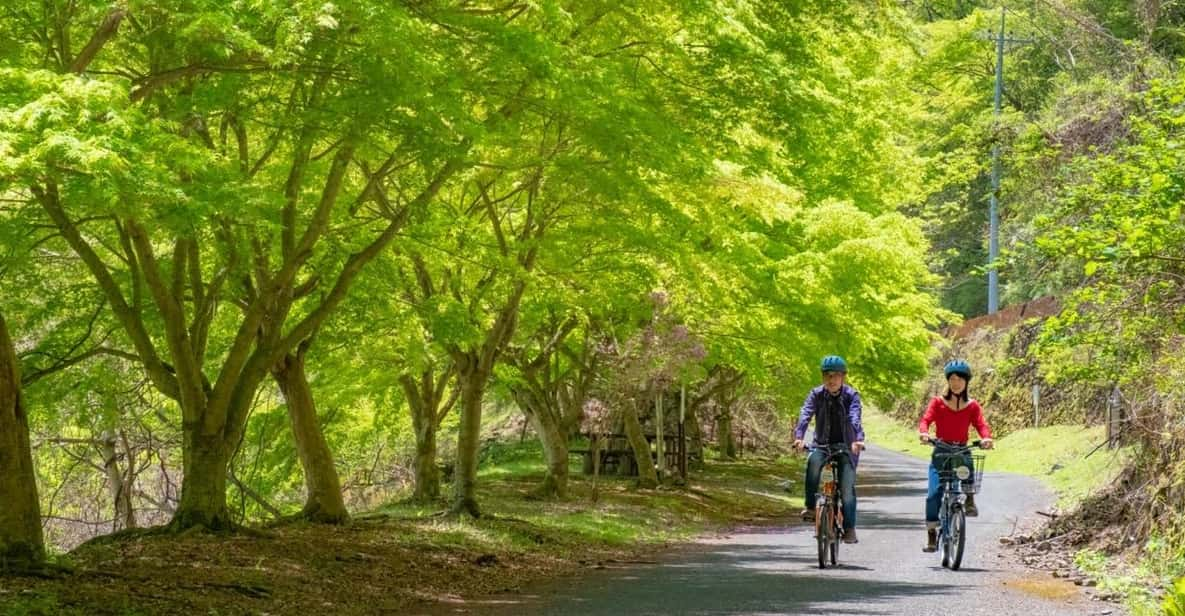 Tokyo: Escape the City to a Cultural Cycle in the Mountains. - Cycling Route to Lake Okutama