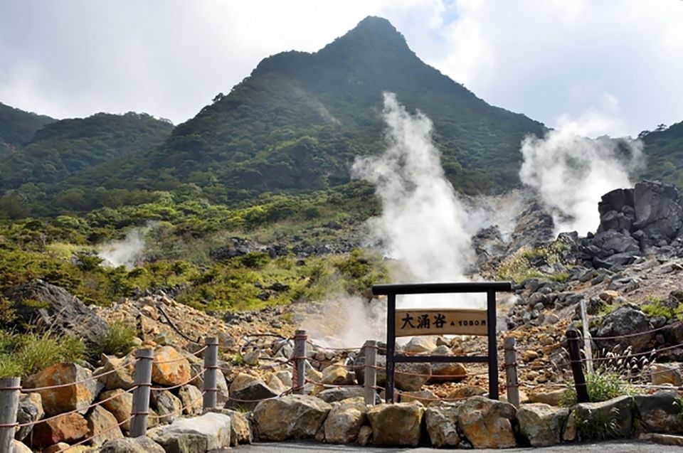 Tokyo: Hakone Fuji Day Tour W/ Cruise, Cable Car, Volcano - Experience Features