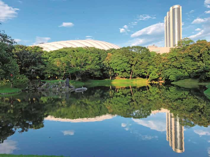 Tokyo: Koishikawa Korakuen Gardens and Baseball Game Tour - Baseball Game Experience