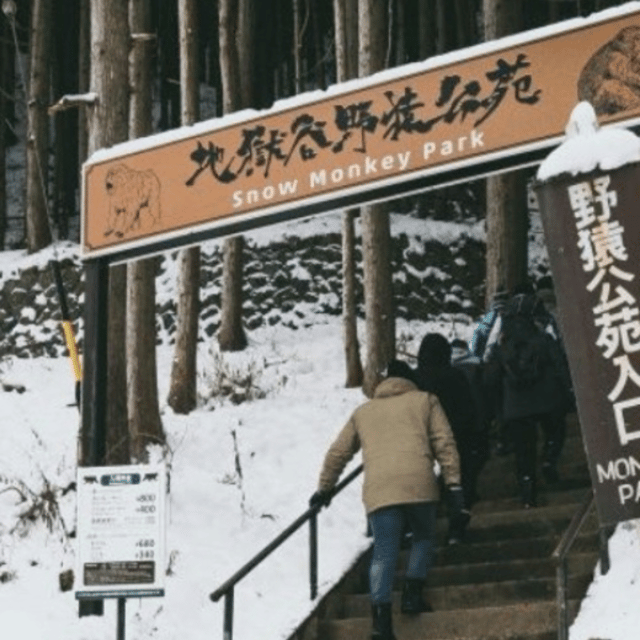 Tokyo: Luxury Snow Monkey Park Private Tour In Land Cruiser - Itinerary Highlights