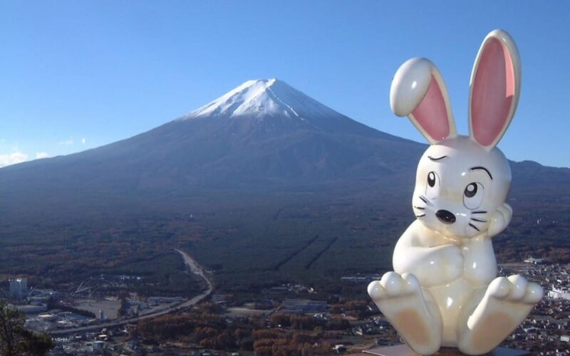 Tokyo: Mount Fuji Kawaguchiko Ropeway One Day Tour - Scenic Features