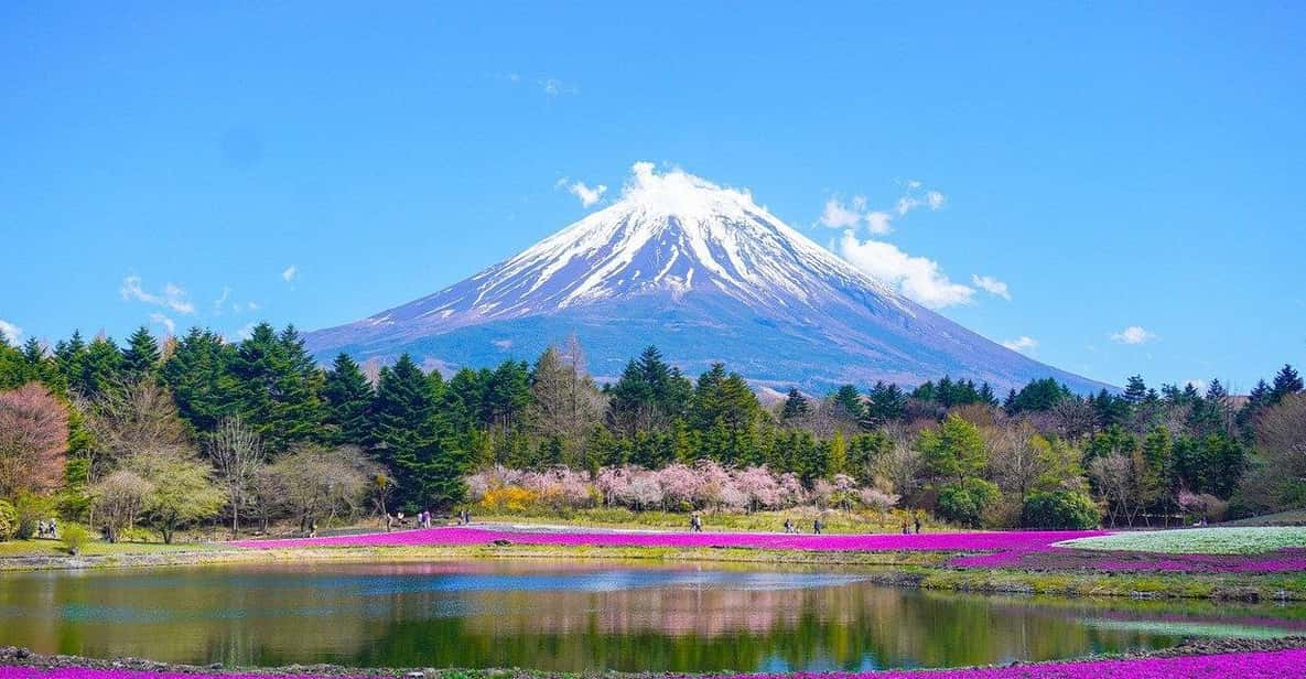 Tokyo: Mount Fuji or Hakone Customized Private Full-Day Trip - Itinerary Highlights