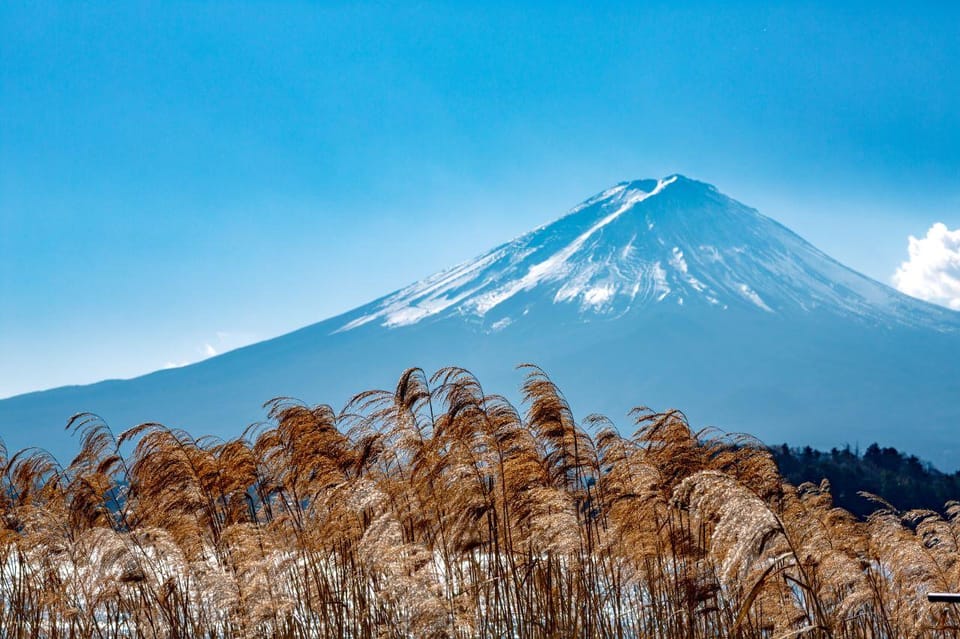 Tokyo: Mount Fuji, Yamanaka Lake, Kawaguchiko Lake Day Trip - Seasonal Attractions