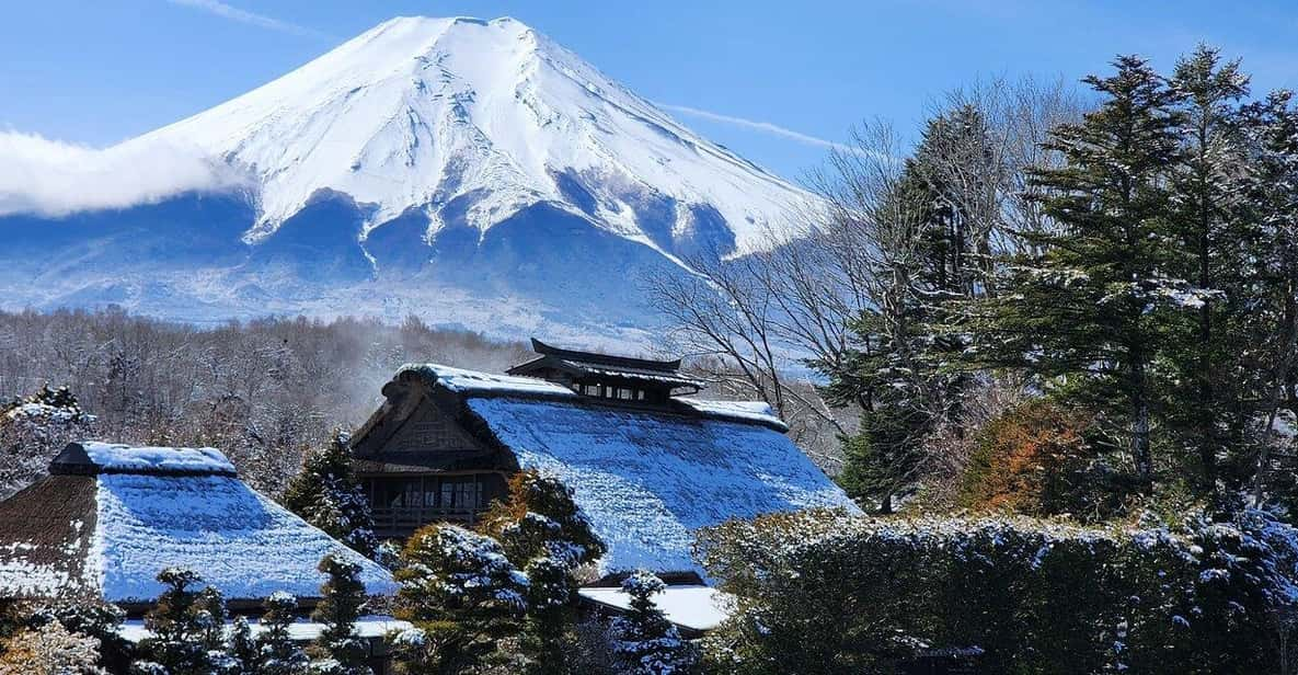 Tokyo: Mt. Fuji and Hakone 1-Day Private Tour - Itinerary Highlights