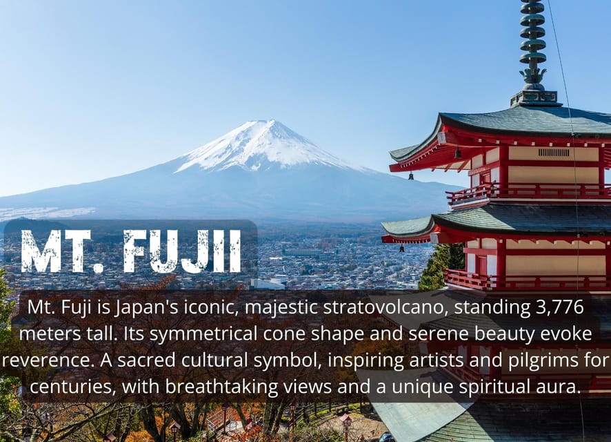 Tokyo: Mt. Fuji & Hakone Tour With English Speaking Driver. - Experience and Customization