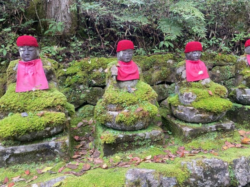 Tokyo: Nikko World Heritage Private Tour By English Guide - Transportation and Accessibility