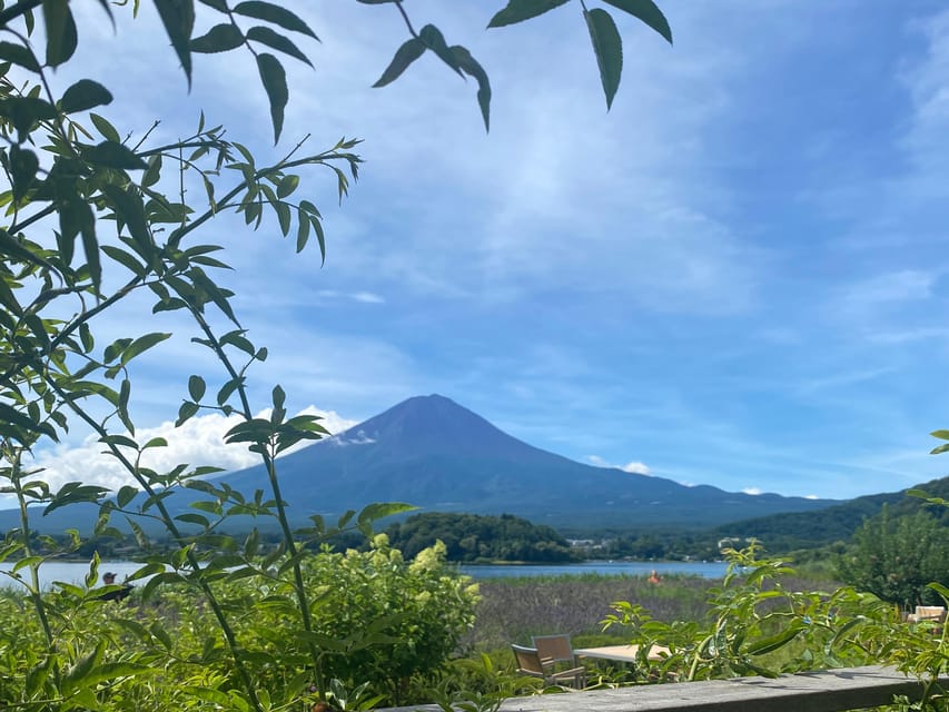 Tokyo: Private Day Trip to Mt. Fuji With Custom Itinerary - Customizable Itinerary Options