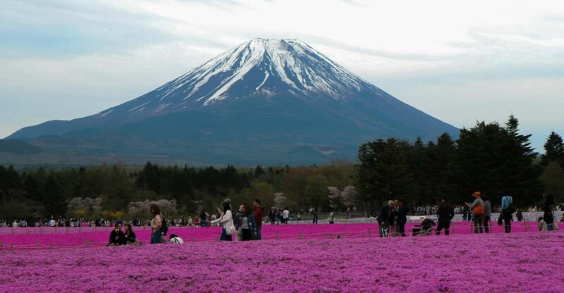 Tokyo: Private Mount Fuji Tour With Pickup and Drop-Off - Experience Highlights