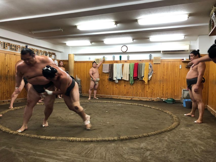 Tokyo: Real Sumo Morning Practice Tour at Yokozuna Stable - Sumo Stable Insights