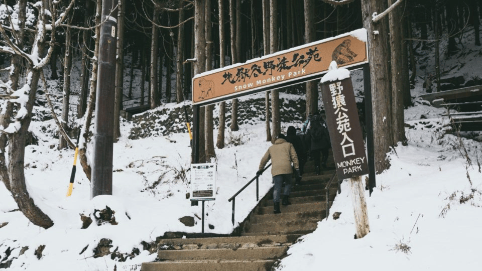 Tokyo: Snow Monkey Park & Zenkoji Temple Private Day Tour - Visit to Zenko-ji Temple