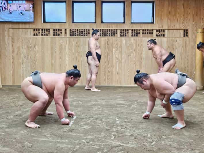 Tokyo Sumo Morning Practice Tour With Private Car Transfer - Experience Highlights