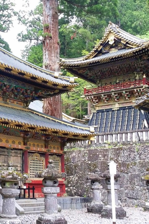 Tokyo to Nikko: Private Day Trip to Nikko and Lake Chuzenji - Transportation Details