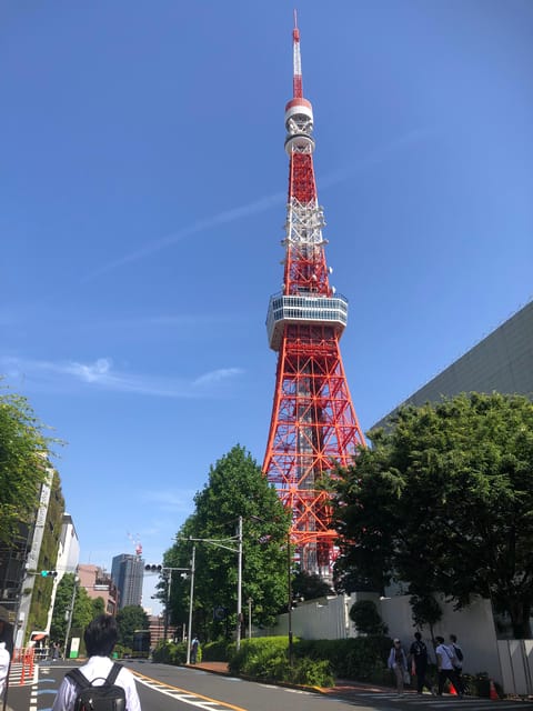 Tokyo Tours in Spanish (Tsukiji Market-Ginza-Tokyo Tower) - Highlights of the Tour