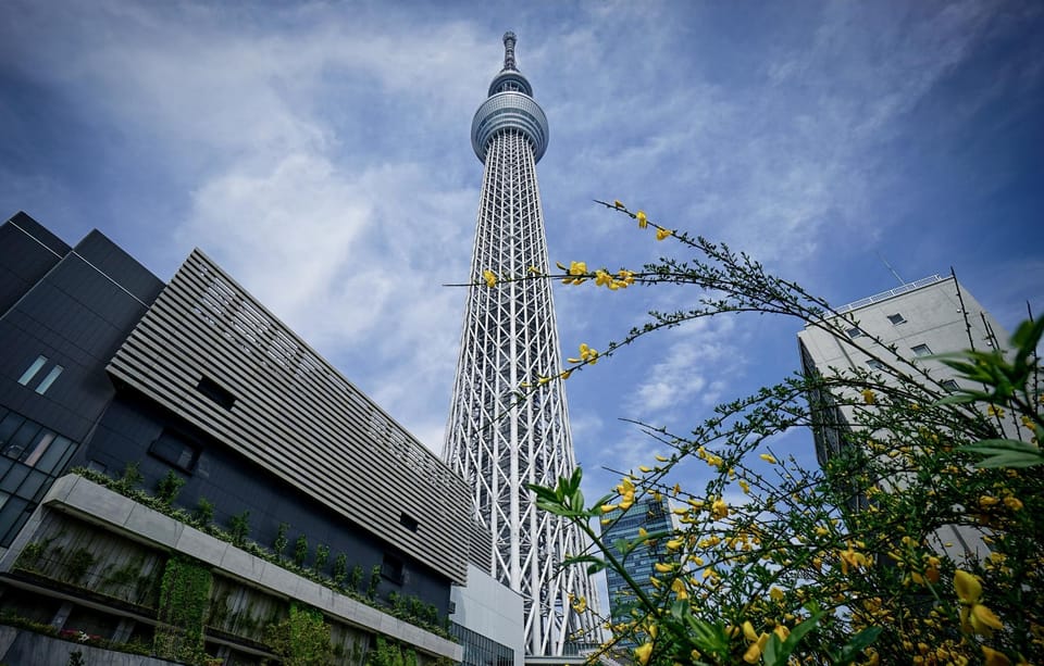 Tokyo Unforgettable Private Tour for Family(Up-To 6 Persons) - Experience and Activities