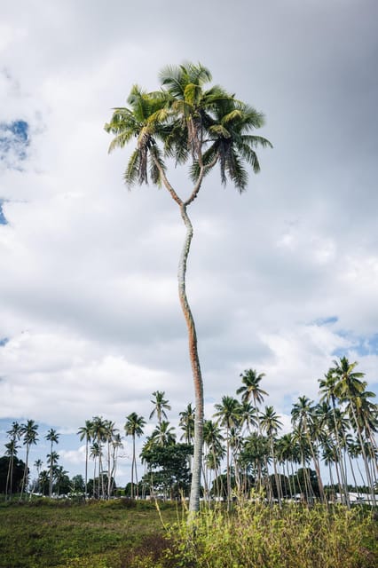 TONGATAPU ISLAND TOUR- Takeaway Tonga and You - Pricing and Cancellation Policy