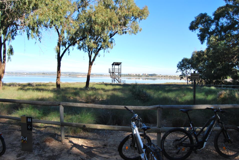 Torrevieja: Natural Parks E-Bike Tour - Tour Highlights and Experience