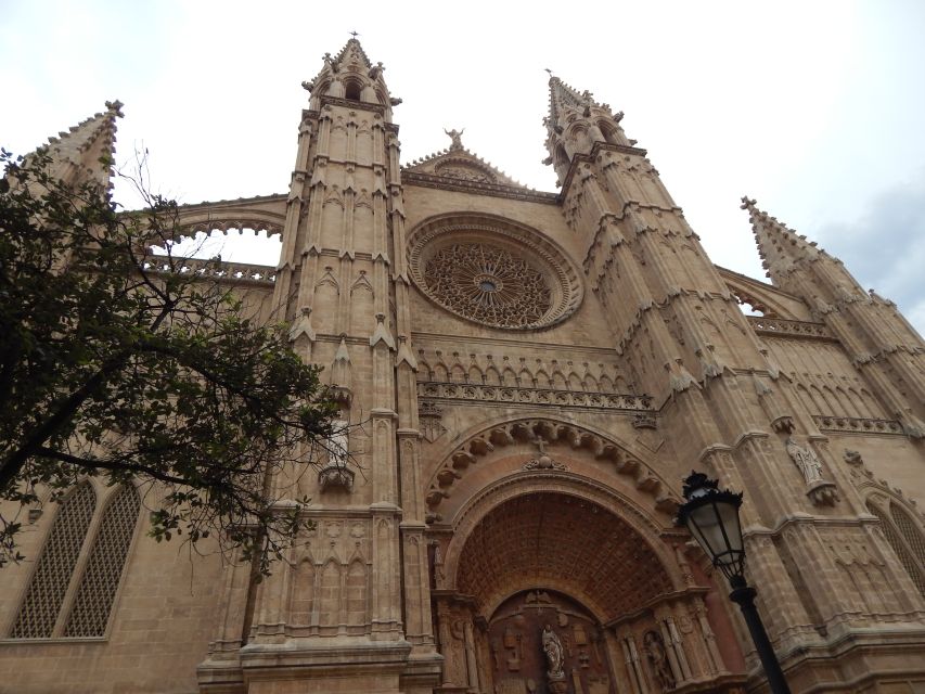 Tour Palma Old Town & Cathedral Skip-The-Line Entry--English - Experience Highlights