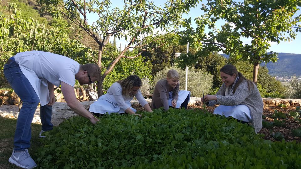 Traditional Dalmatian Cooking Class From Dubrovnik - Experience and Activities