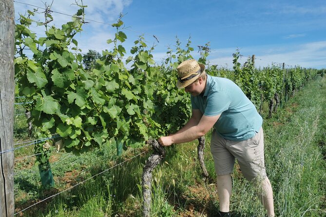 Traditional Visit and Tasting - Location and Accessibility