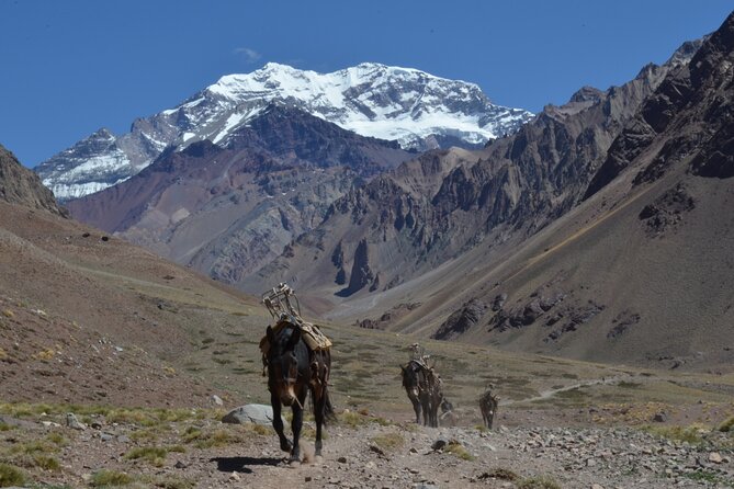 Trekking to Confluencia, Aconcagua First Base Camp - Highlights of the Trek