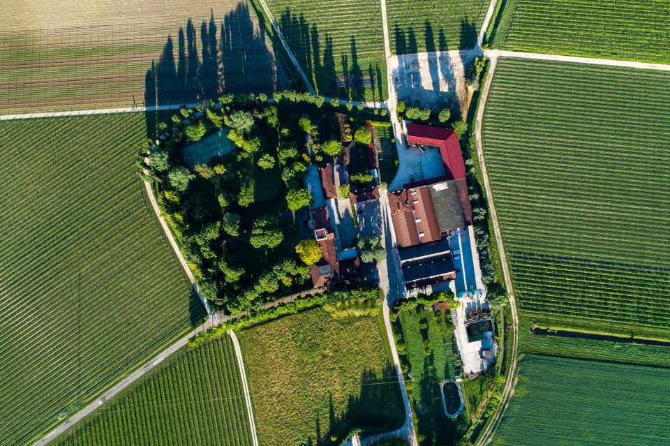 Treviso Neighborhood: Tenute Tomasella/Wine Experience - Location and Vineyard Overview