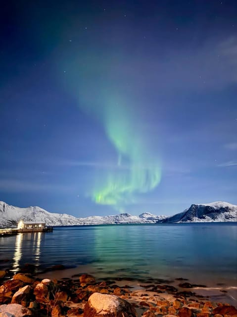 Tromso: Aurora Tour Hygge Magic Experience.(Wifi Free) - Pricing Information