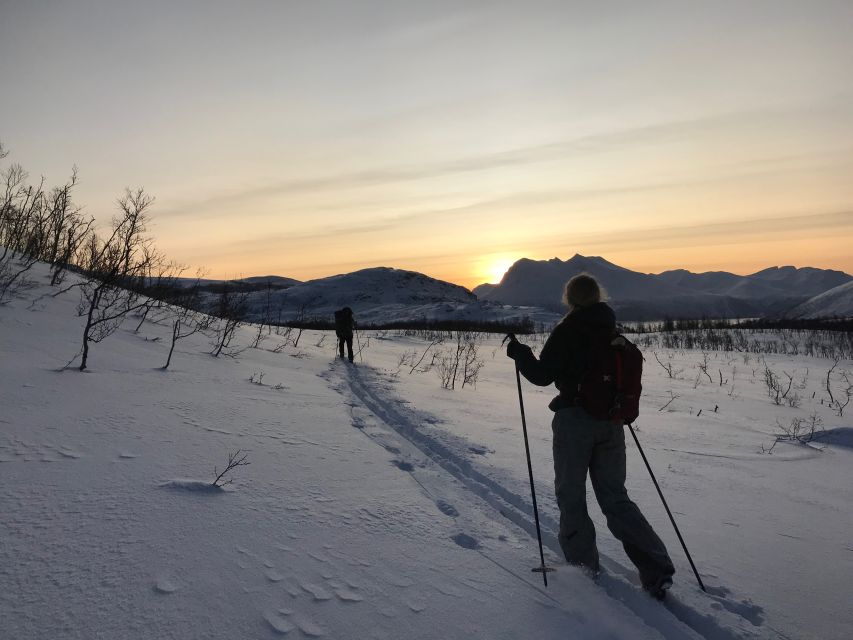 Tromsø: Beginner-Friendly Nordic Wilderness Skiing Tour - Experience Highlights