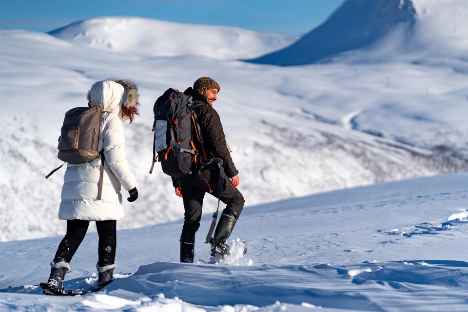 Tromsø: Daytime Fjellheisen Snowshoe Hike and Cable Car Ride - Pricing and Duration