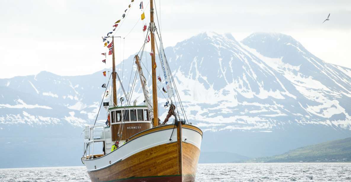 Tromsø: Fishing & Fjord Cruise - Highlights of the Experience