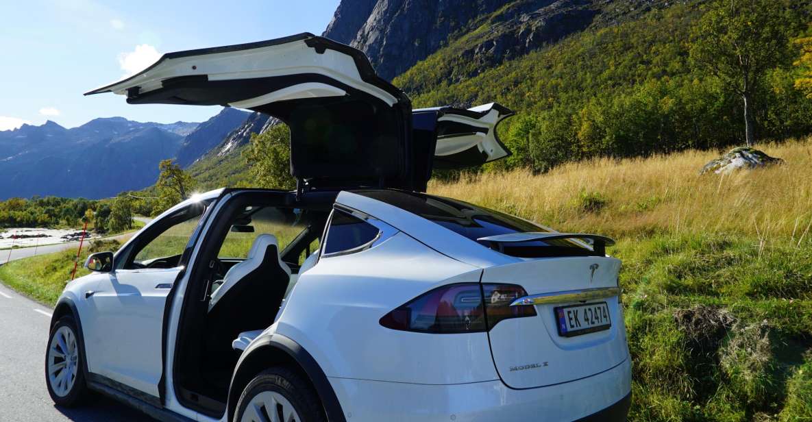 Tromsø: Fjord Sightseeing in a Tesla X Luxury Electric Car - Unique Features of Tesla X