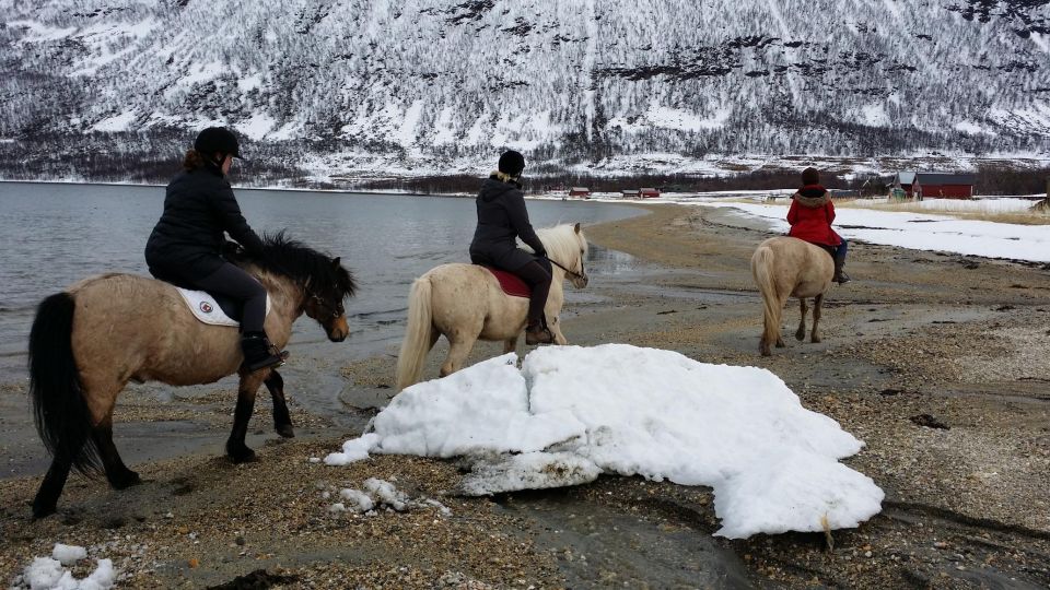 Tromsø: Lyngen Horseback Riding Experience - Itinerary Highlights