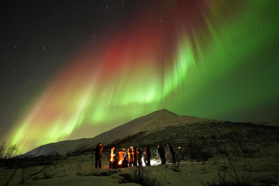 Tromsø: Northern Lights Tour With Free Professional Portrait - Experience Highlights