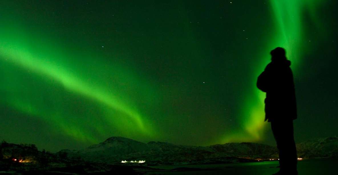 Tromsø: Northern Lights Walking Tour - Itinerary and Walking Experience