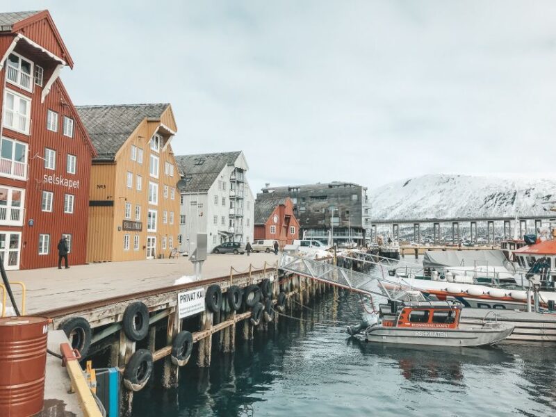 Tromsø: Private City Tour - Experience Highlights
