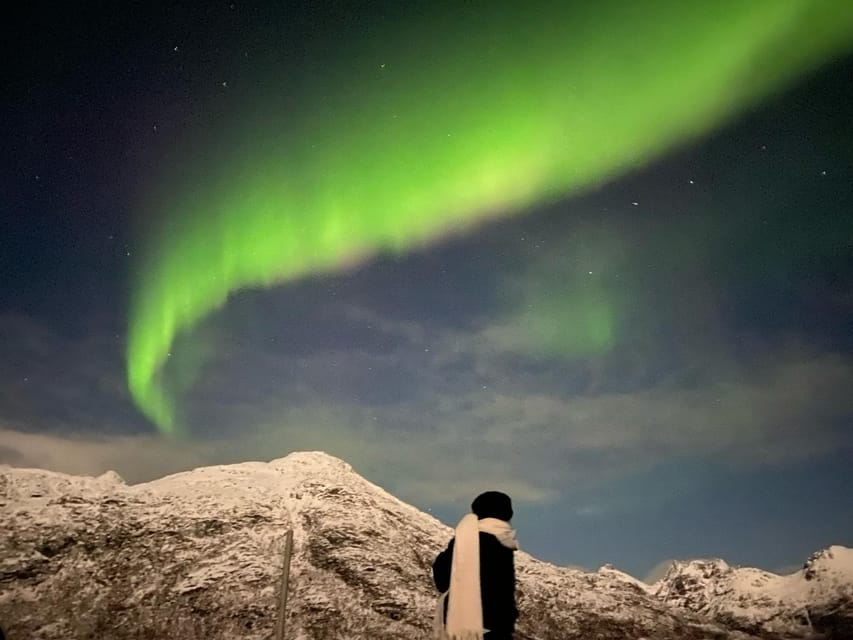 Tromsø: Private or Semi-private Northern Lights Tour - Itinerary and Experience