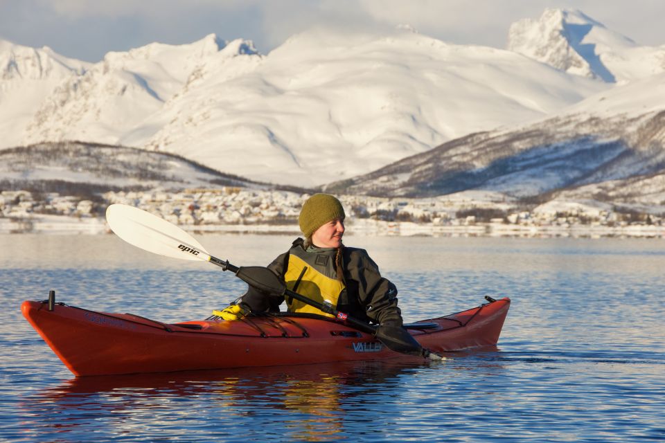 Tromsø: Winter Sea Kayaking Tour With Wildlife Sightings - Wildlife Encounter Highlights