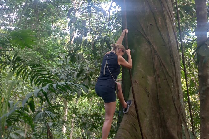 Tropical Hike in the Gandoca-Manzanillo Wild Life Refuge - Wildlife and Biodiversity