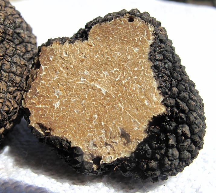 Truffle Hunting in Istria Private Experience - Booking and Cancellation Details