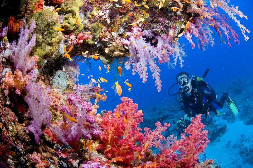 Try Scuba Diving in Racha Yai/noi: 3 Dives for Non-Certified - Itinerary and Pickup Locations