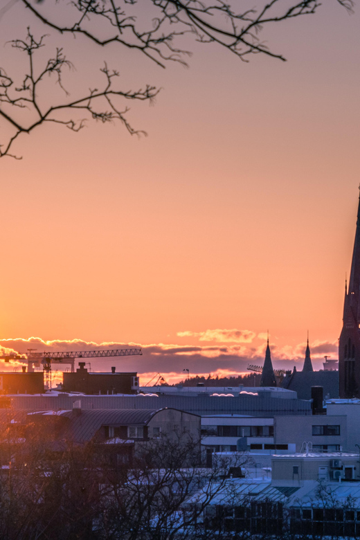 Turku: Private Guided Tour - Duration and Pricing