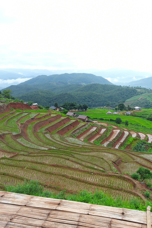 Two Days Pa Pong Piang - Best Time to Visit