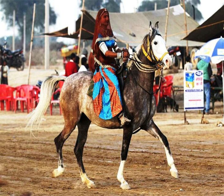 Udaipur: Evening Horse Riding Experience in the Countryside - Horse Riding Details